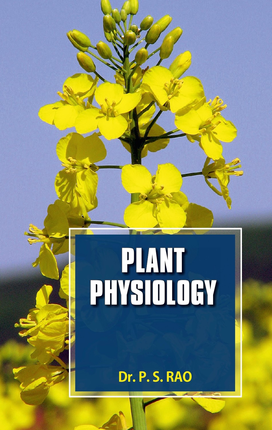 Plant Physiology