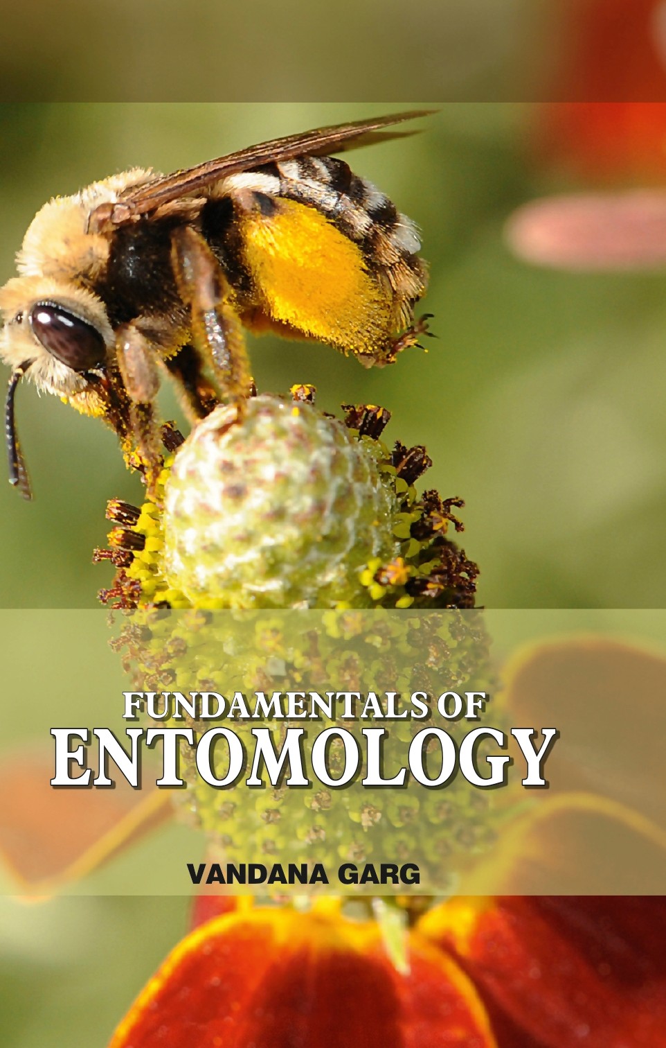 Fundamentals of Entomology