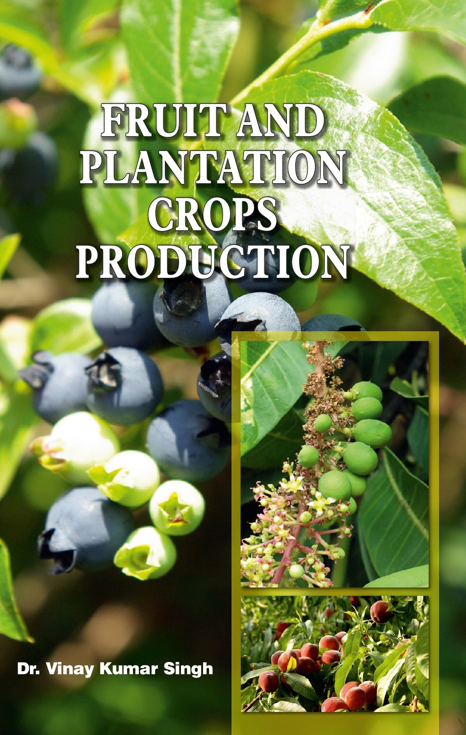 Fruit and Plantation Crops Production