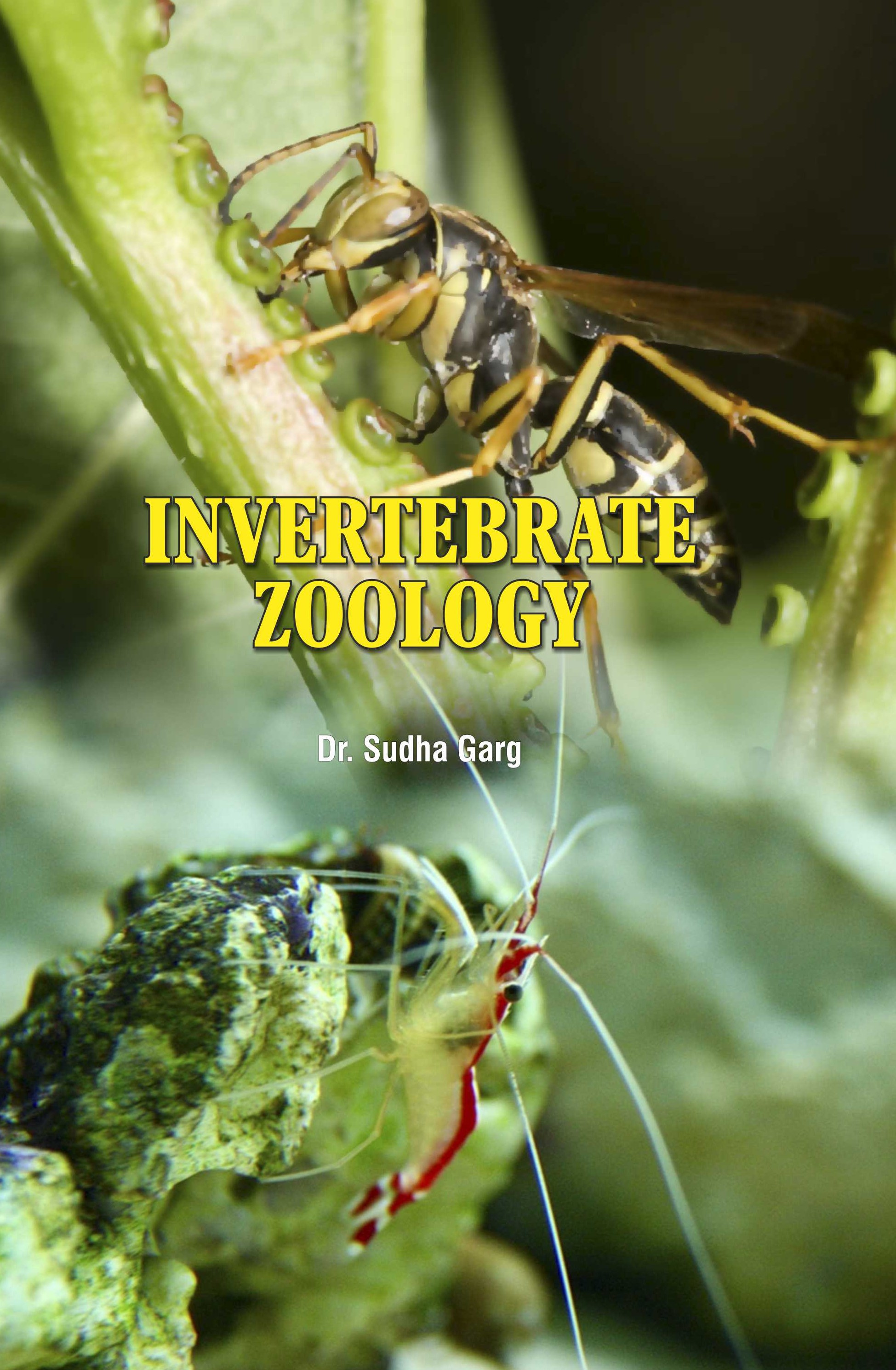 Invertebrate Zoology